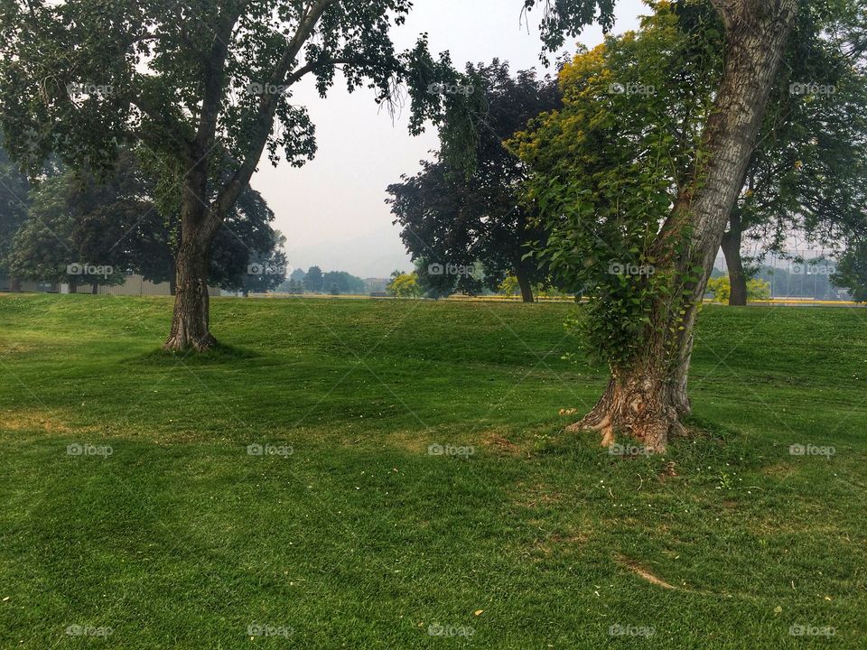 Smokey day at the park! 