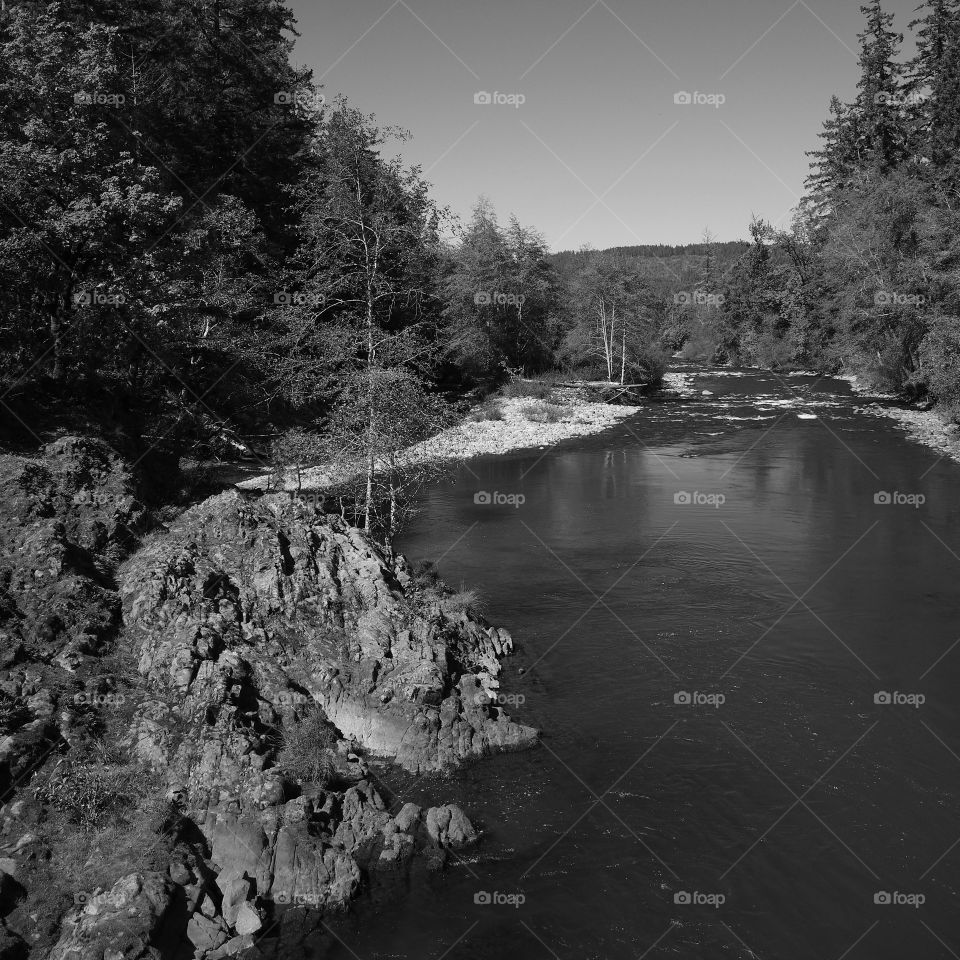 The rocky and rugged shores of the Middle Fork of the Willamette River near Oakridge Oregon filled with trees transitioning to their fall colors on a beautiful sunny day.