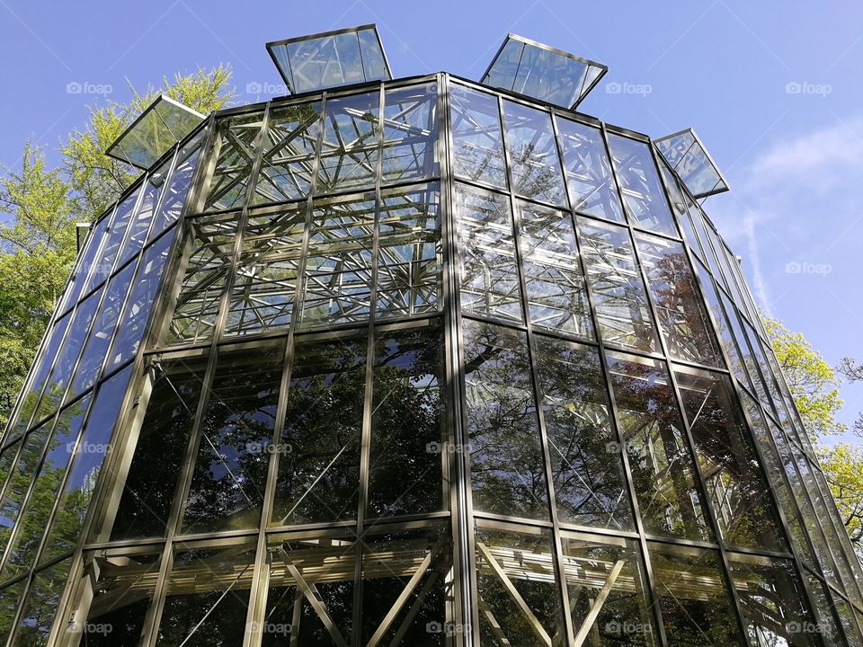 Glashaus der Kamelien im wunderschönen Schlosspark Pillnitz