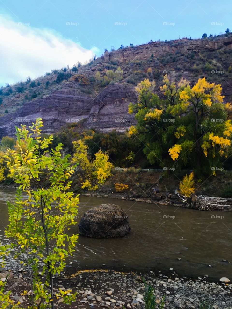 Fall along the river