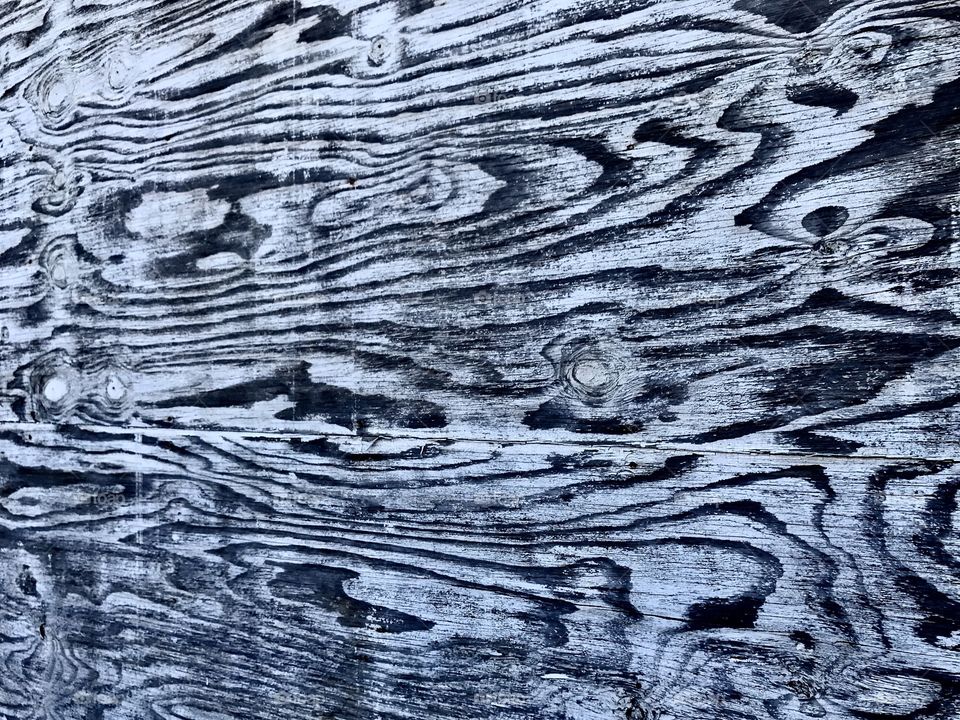 Wood grain texture