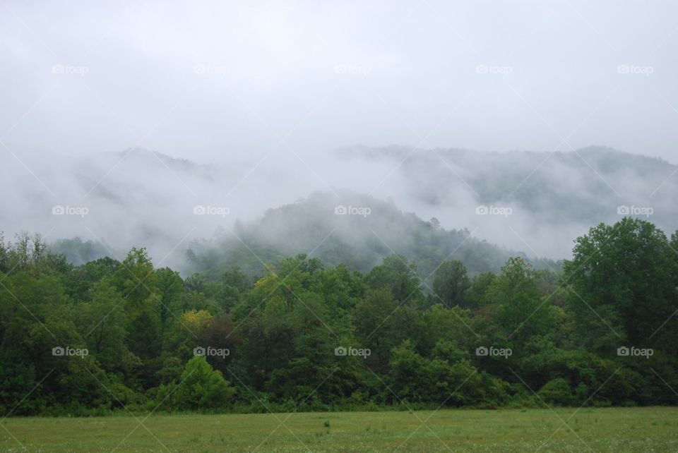 Mountain in the fog