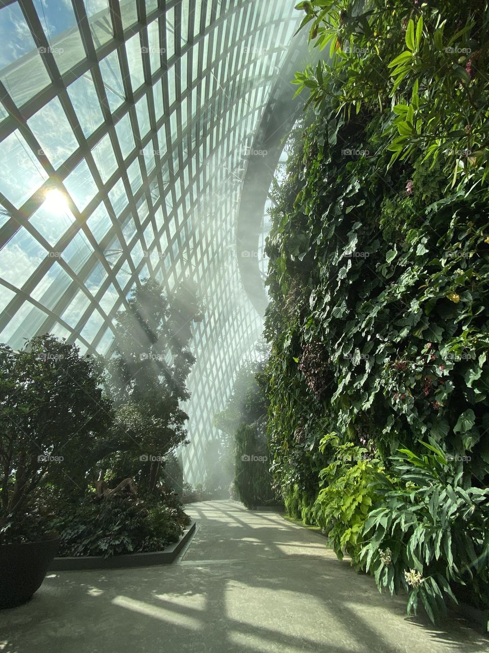 The Best Photo in Singapore.

Afternoon mist at gardens by the bay