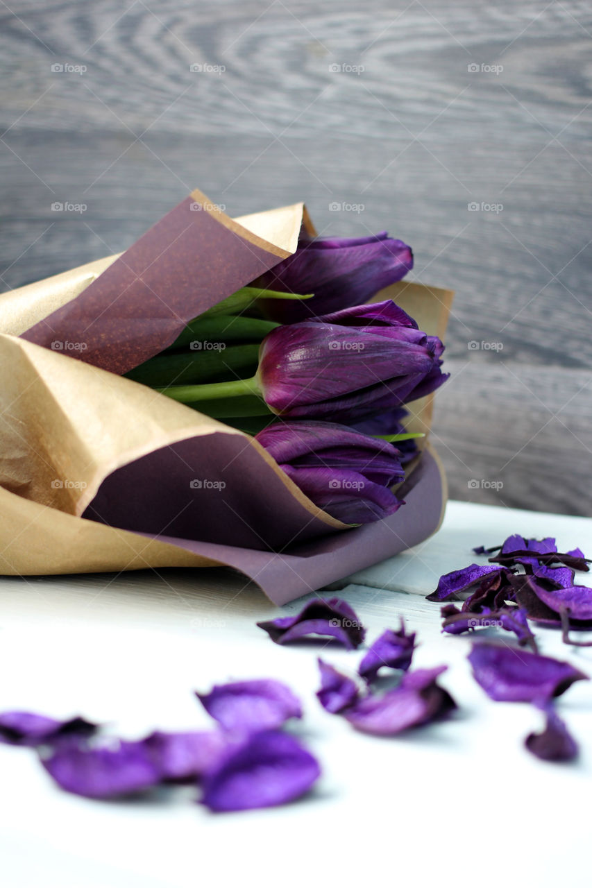 A bouquet of tulips and purple rose petals: congratulations, March 8 (International Women's Day), February 14th (Valentine's Day), holiday