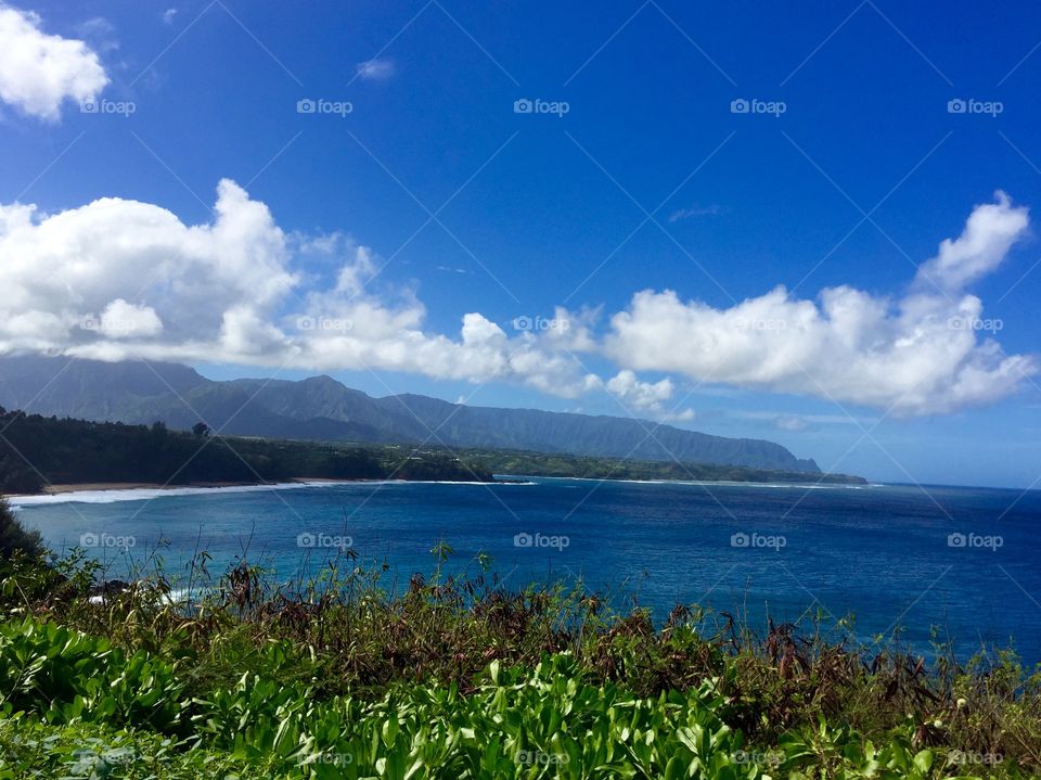 Kilauea National Wildlife Refuge