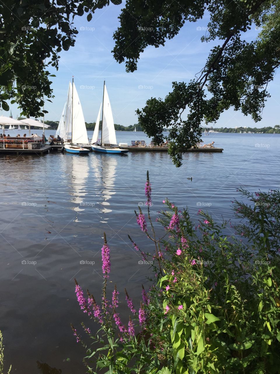 Sailboats moored at lake