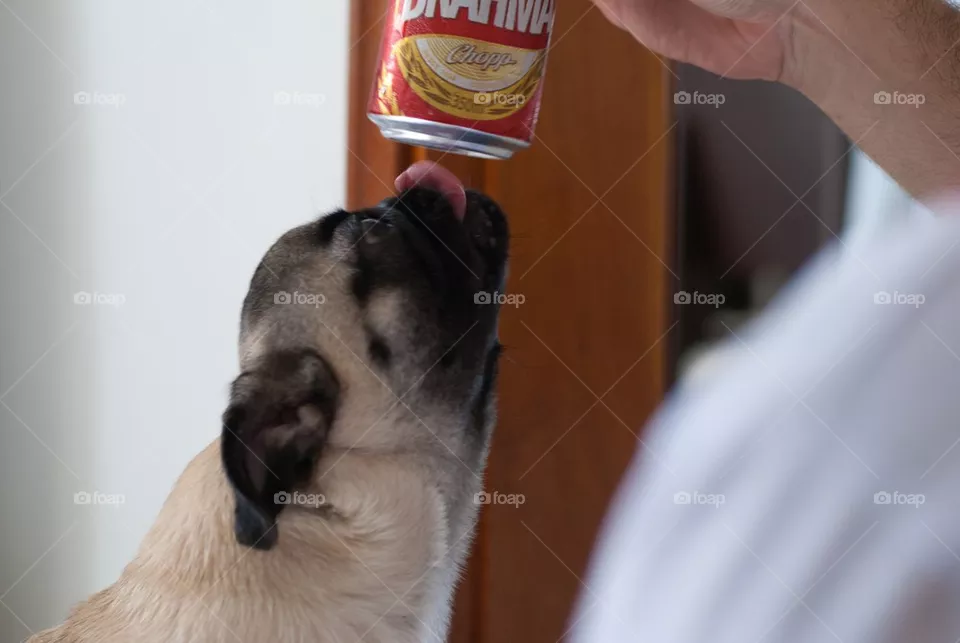 Licking