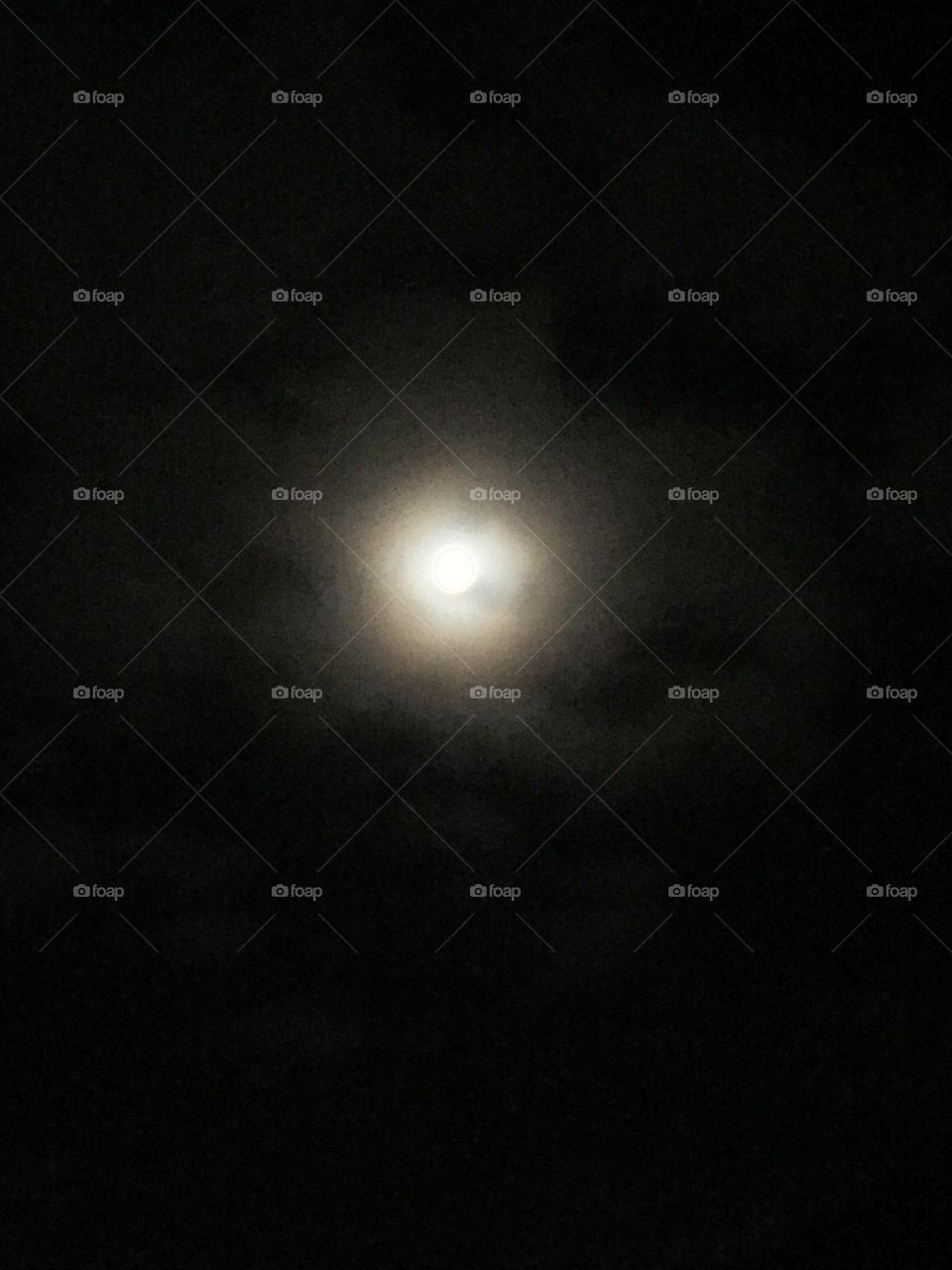 Moonlight 1