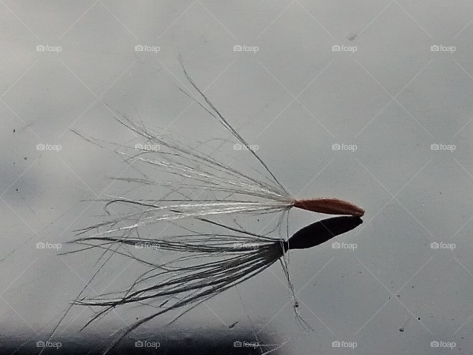 Reflection of macro world