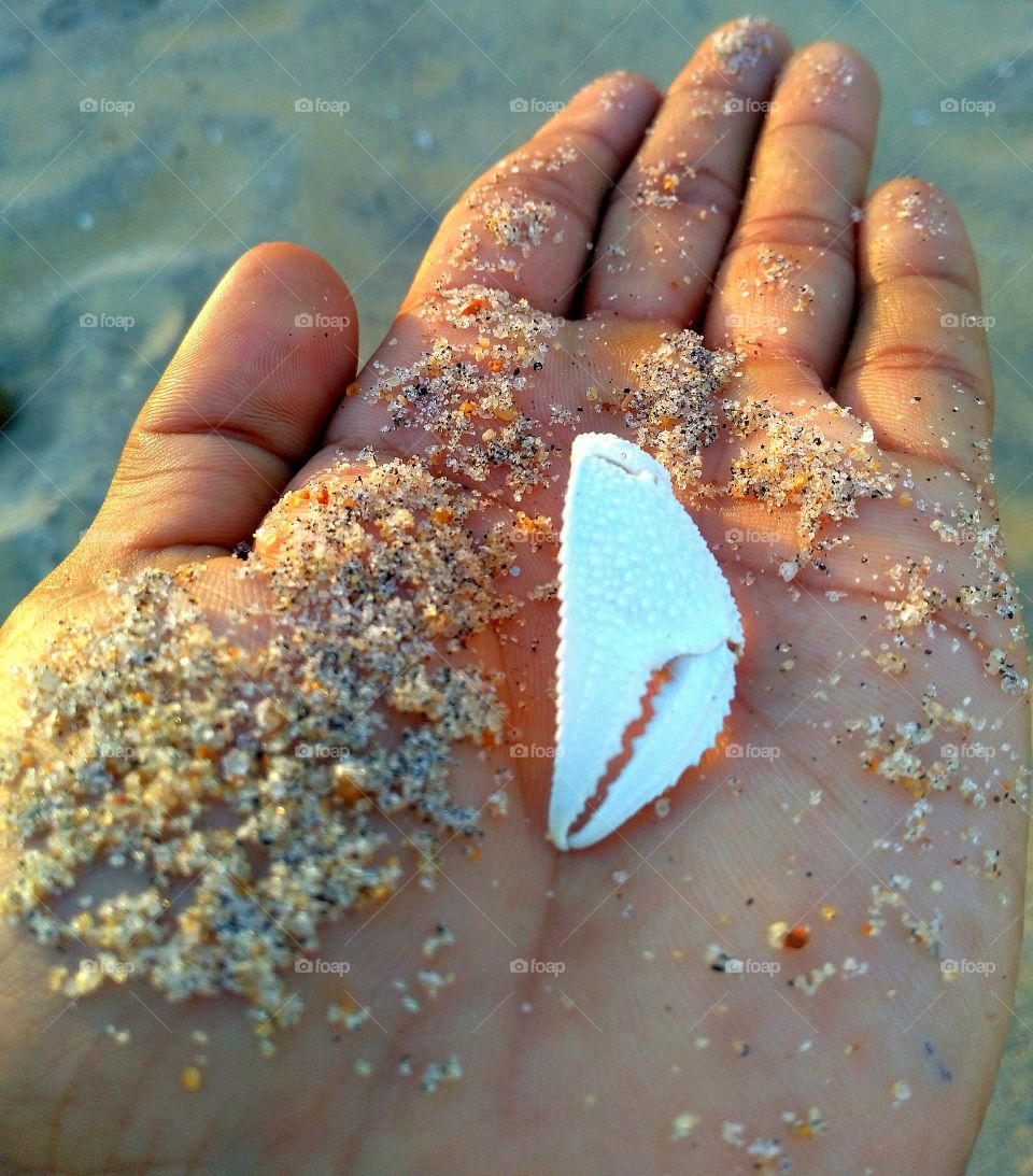 beach art