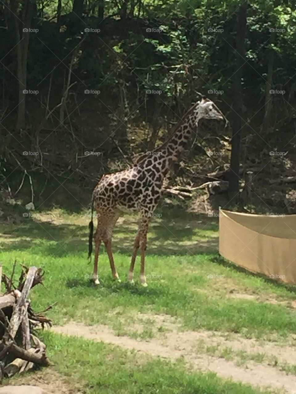 Sending a Day at the Cincinnati zoo