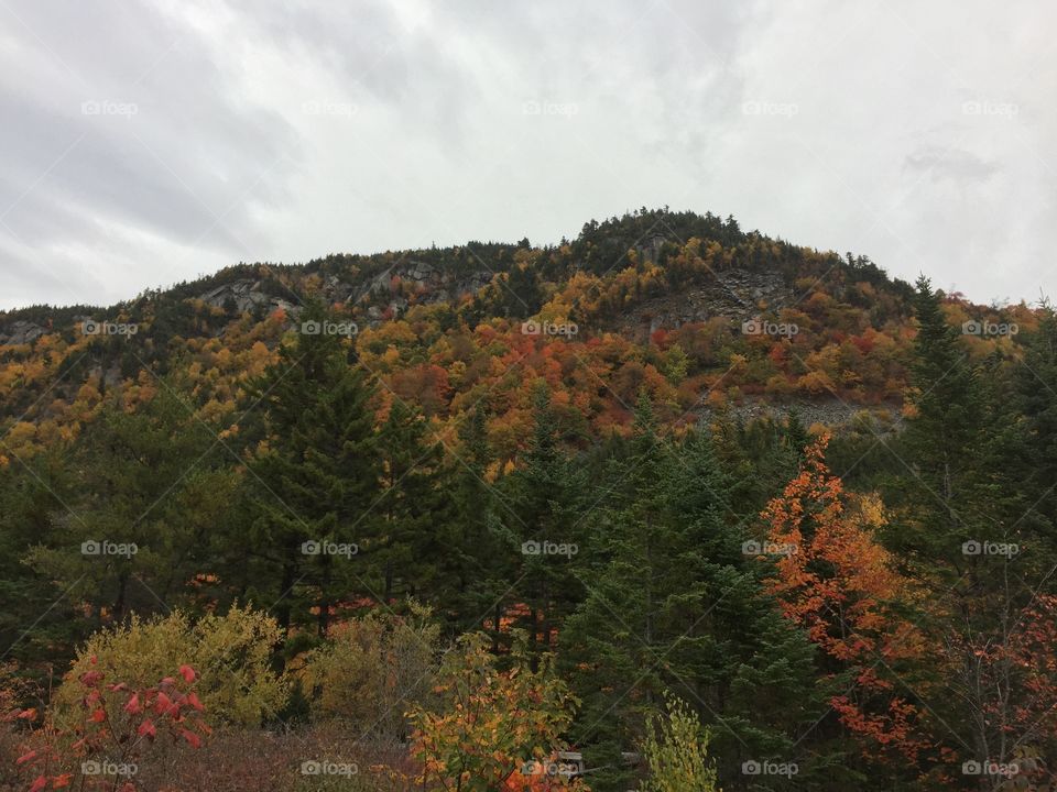 Mountain autumn
