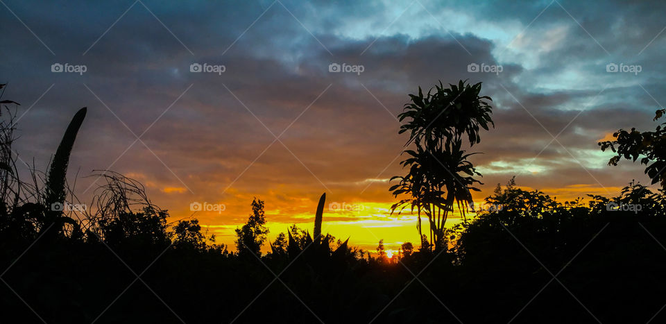 Sunrise on the Big Island 