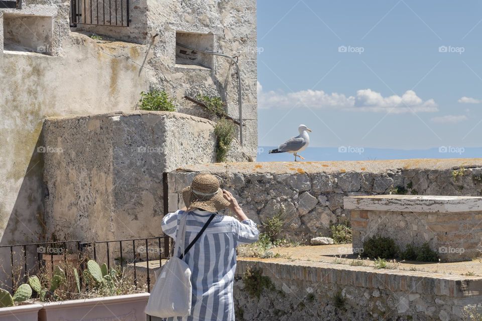 Back view of woman taking photo of seagull