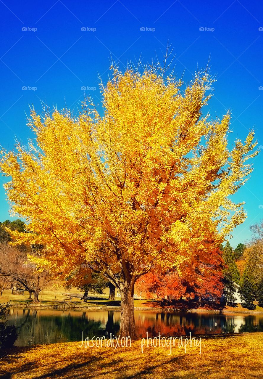 Autumn is among us