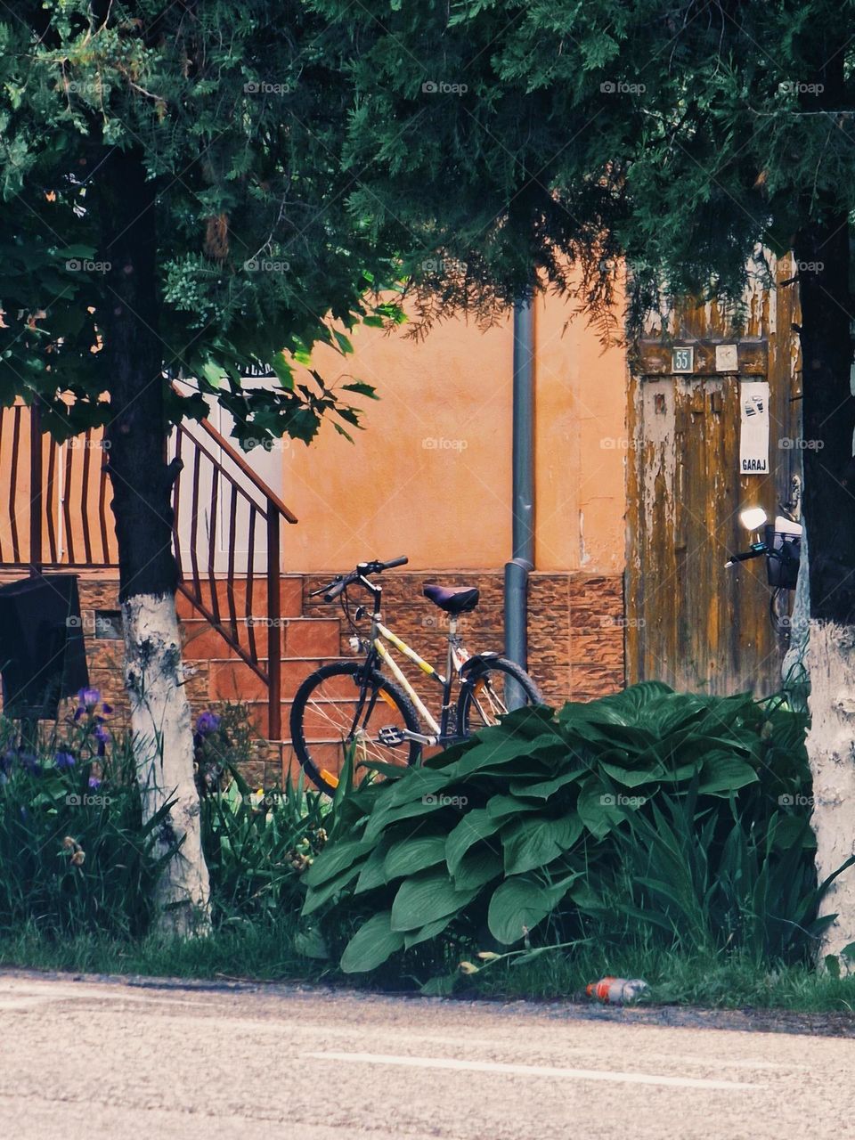 lonely bicycle