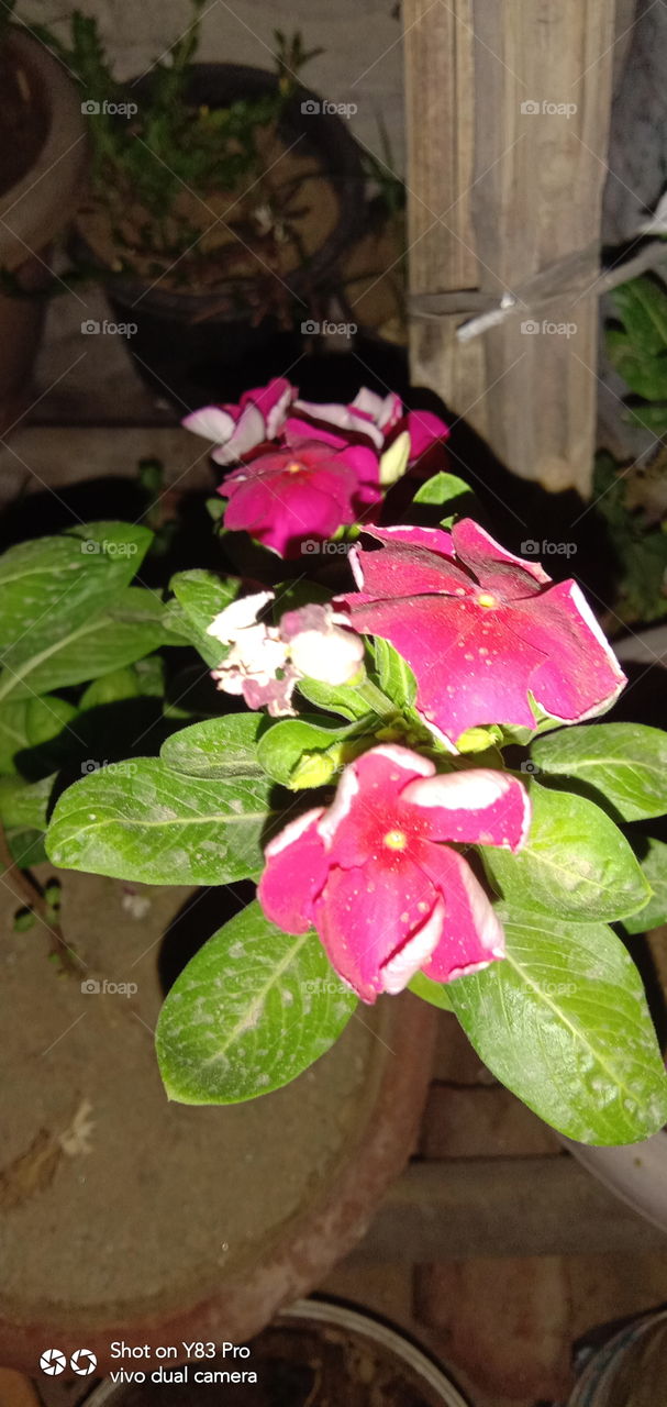 #foap #infoapartemen #foapjuly18 #foapaug18 #foapfeb18 #foapapril17 #foapers #foapjune18 #fotografoaprendiz #sfoapprentices #foaper #infoapartment #foapmission #foapmay18 #foapapr18 #foapit #infoaplikasipaytren #infoapple #foapom #foapjan19 #infoapp 