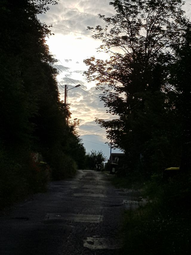sunset