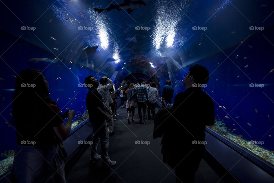 Osaka Aquarium 