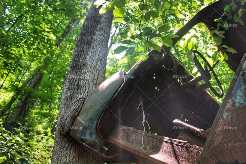 An old rusty truck in the woods 