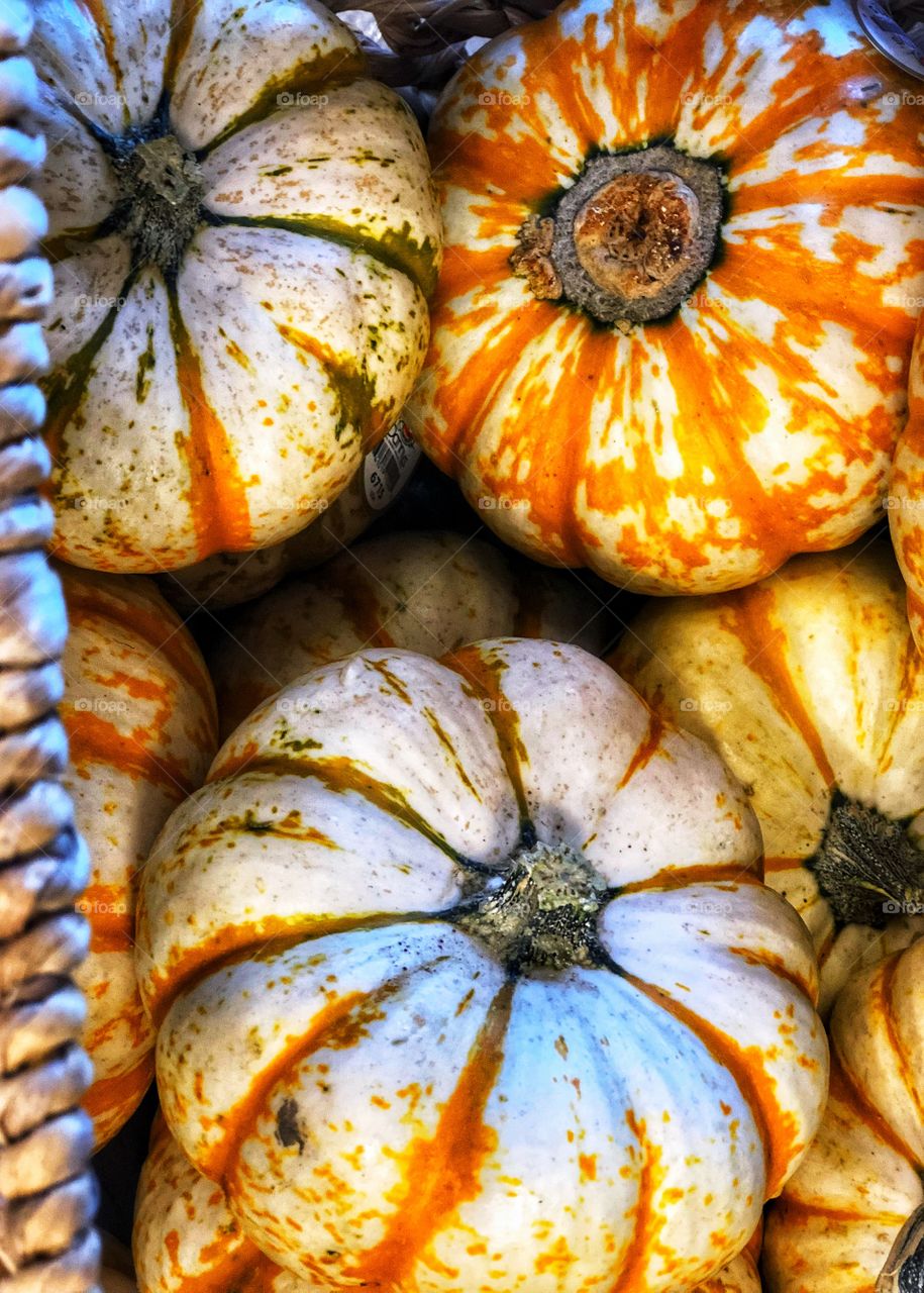 Foap Mission Shapes: Ellipses! Pumpkins The Perfect Shape Of Nature!