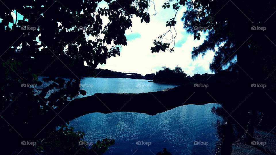 Tried to Capture a very quiet and calm sceneric view of a blue lake surrounded by trees.Moment of peace lies within.Hope you feel the same. Silhouettes and Shadows.