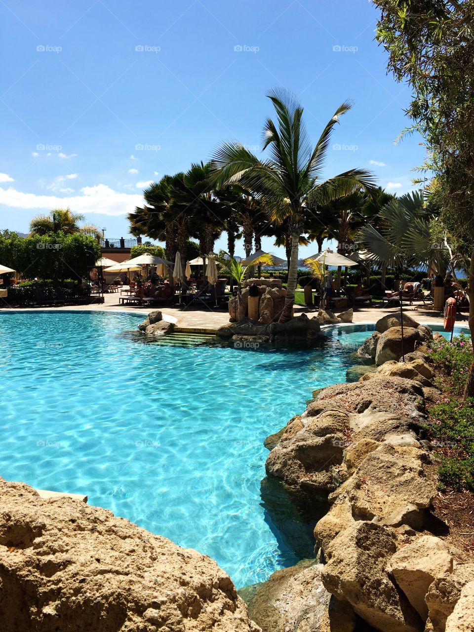 Pool side tropical escape.