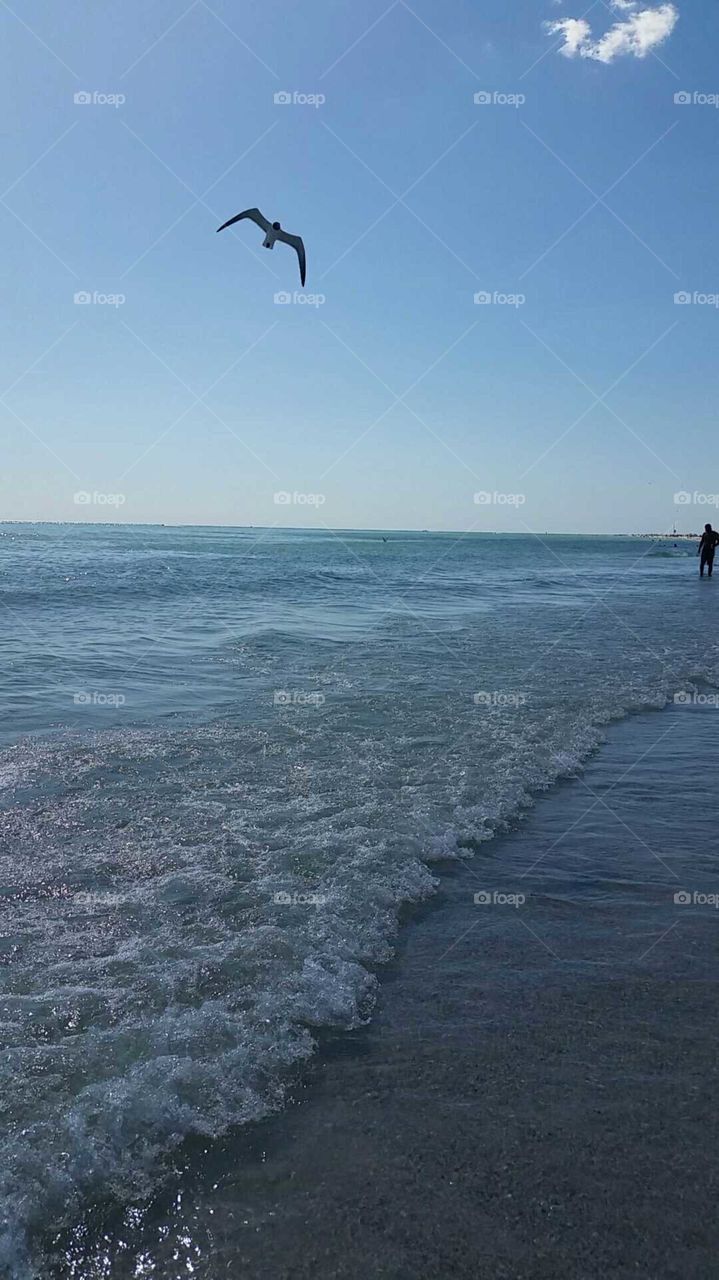 Water, No Person, Beach, Sea, Ocean