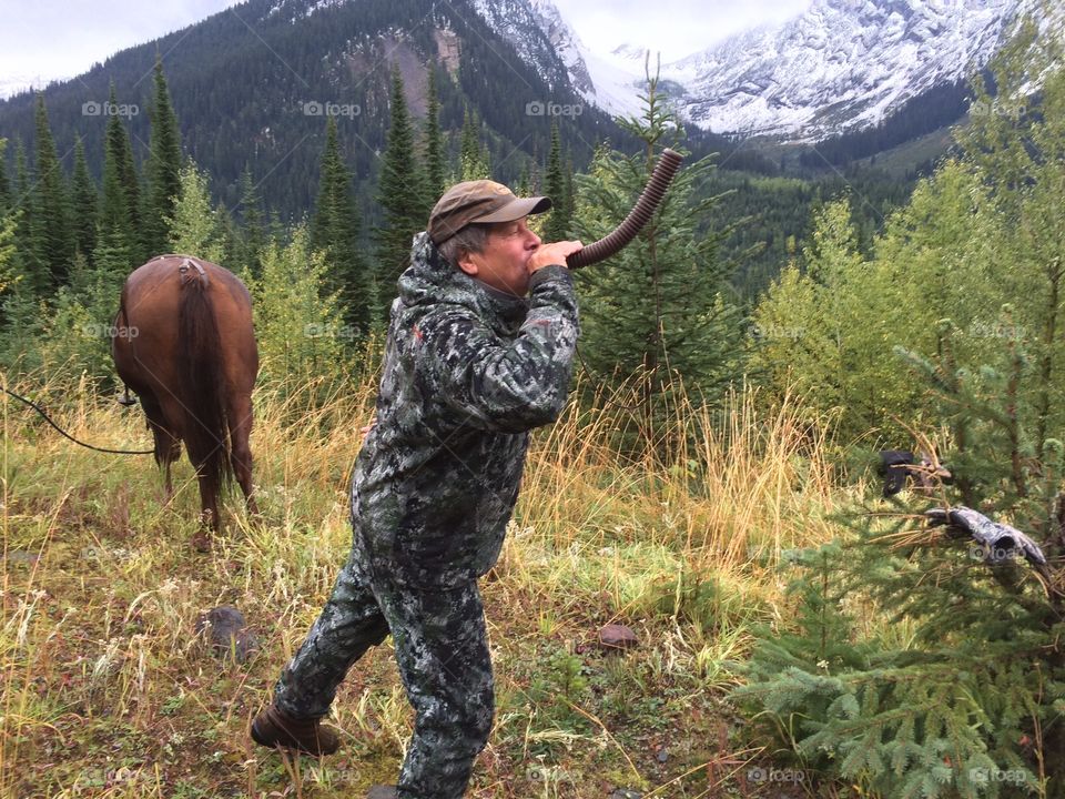 Calling for Elk