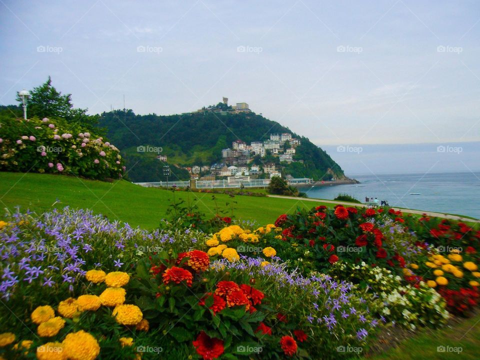 Flowers and sea views.