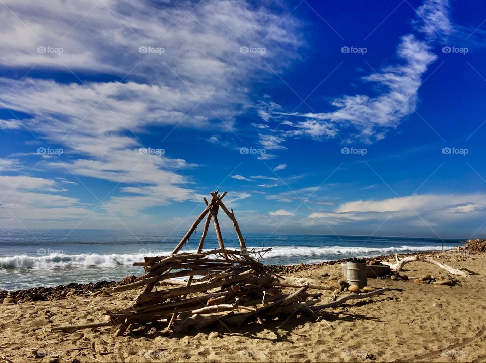 Dramatic Driftwood 