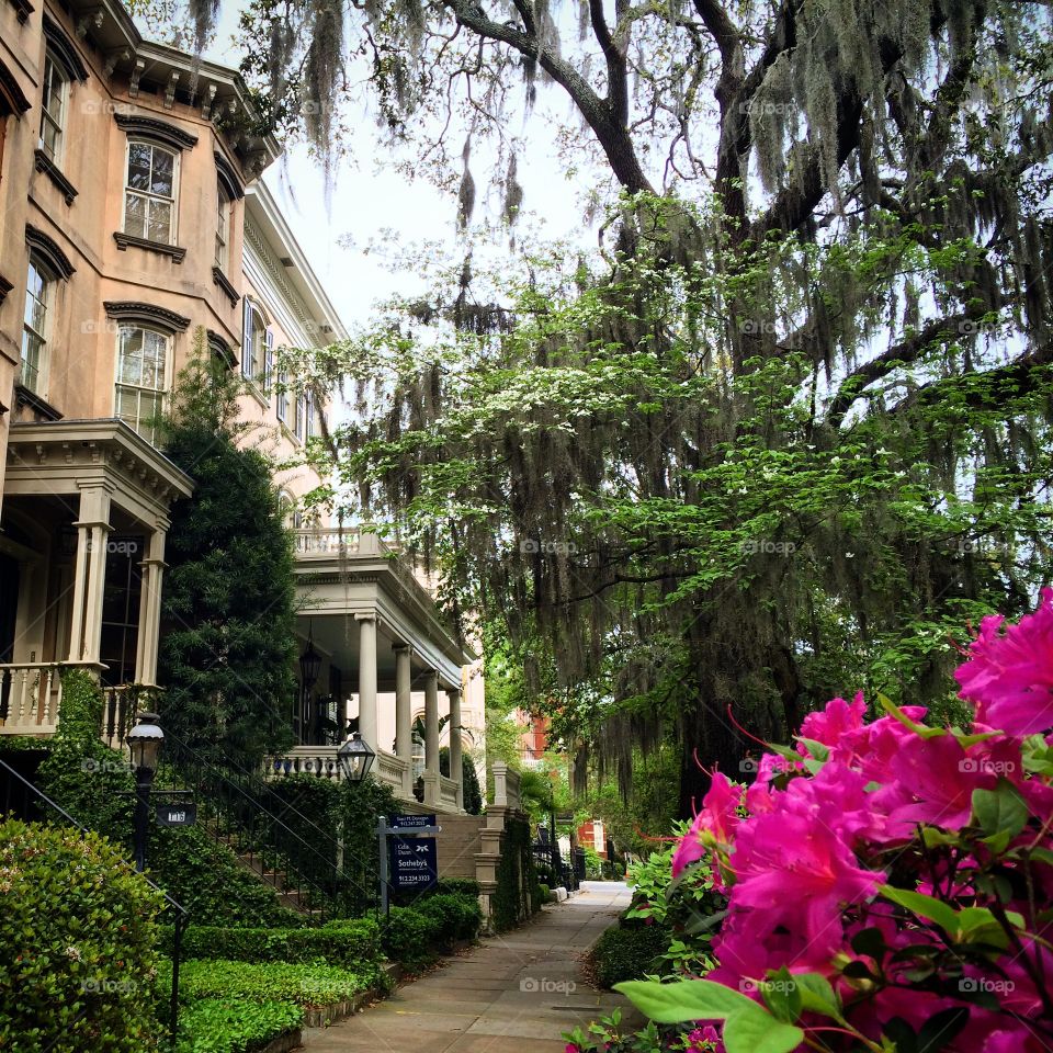 Savannah, GA