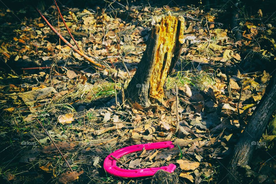 in the middle of the forest after winter