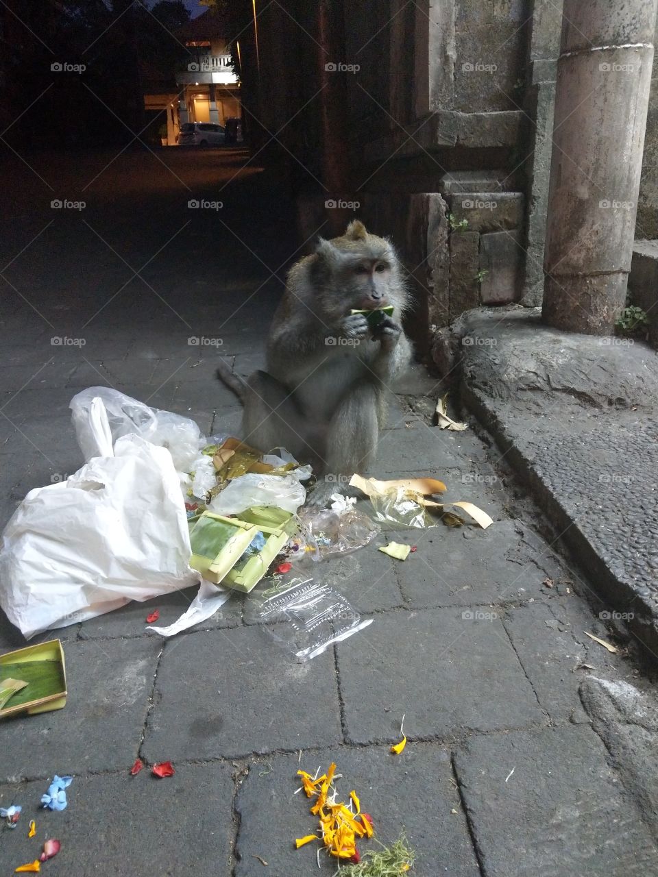 when you're hungry you're hungry