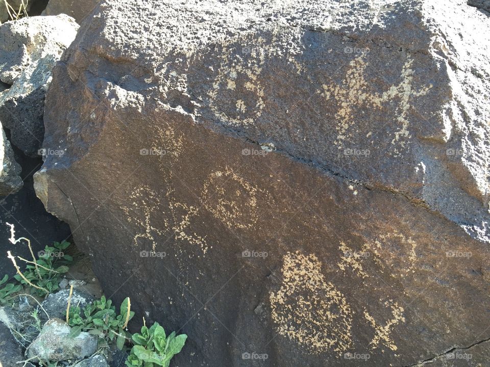 Petroglyph from New Mexico
