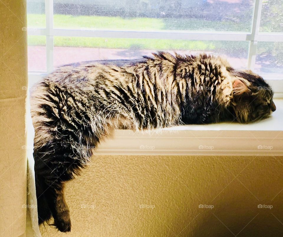 When it’s Sunday and you just don’t GAF