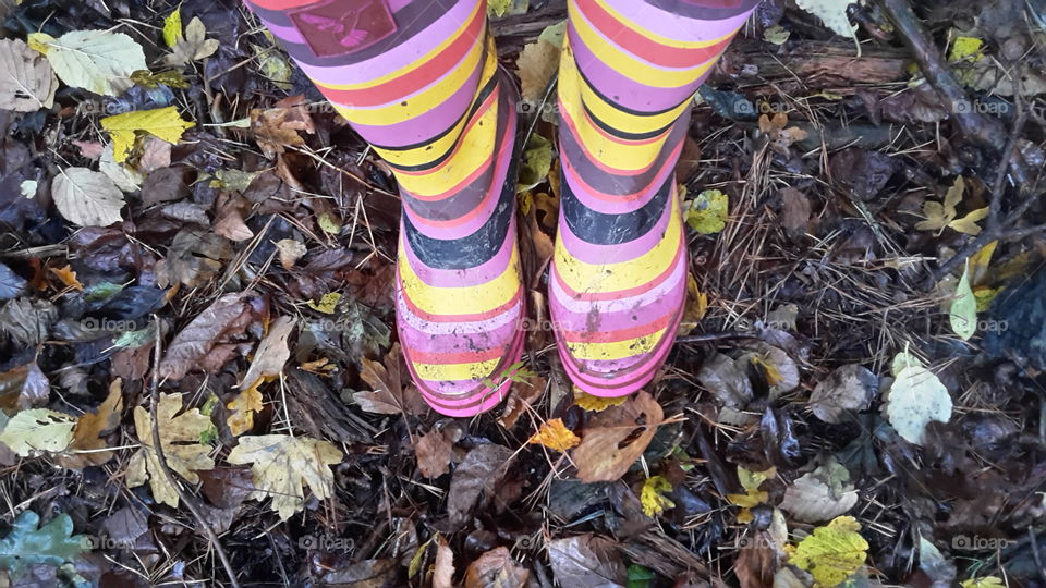 Bright Pink & Yellow Wellies in Autumn Leaves & Mulch