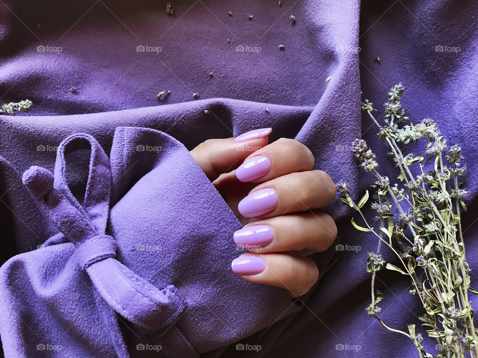 Purple manicure on purple textile background with lavender flowers 