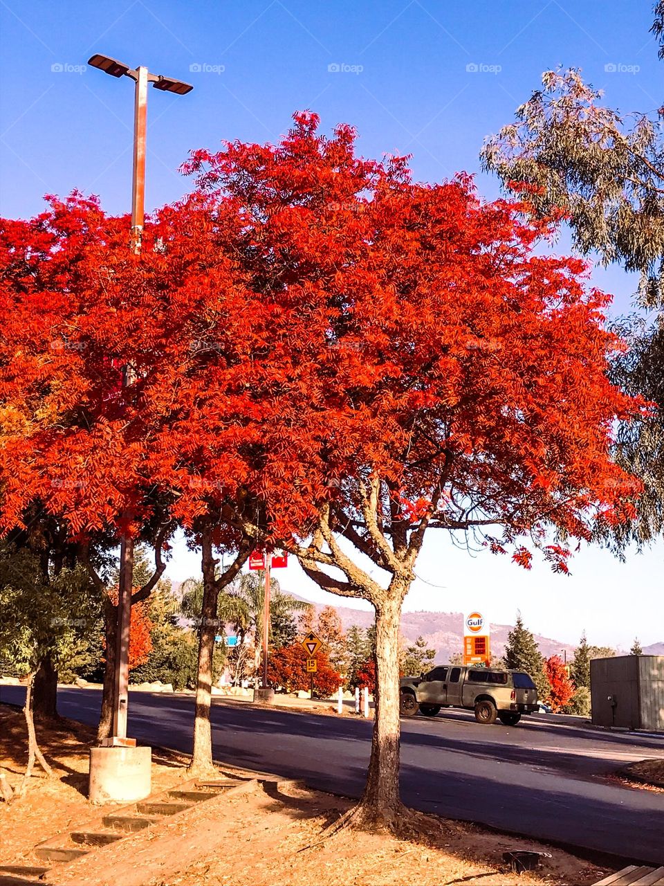 The natural beauty of autumn.