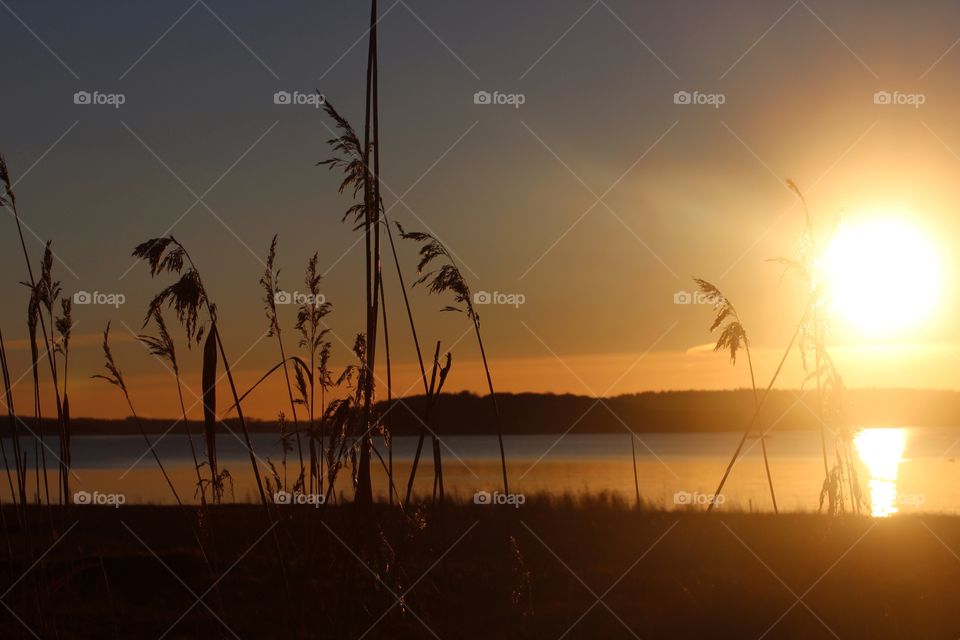 Sun reflecting in the beach