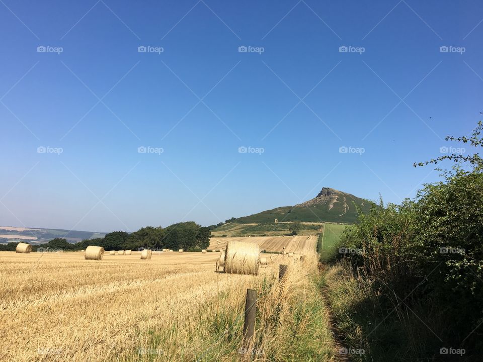 English countryside ... hay fields 