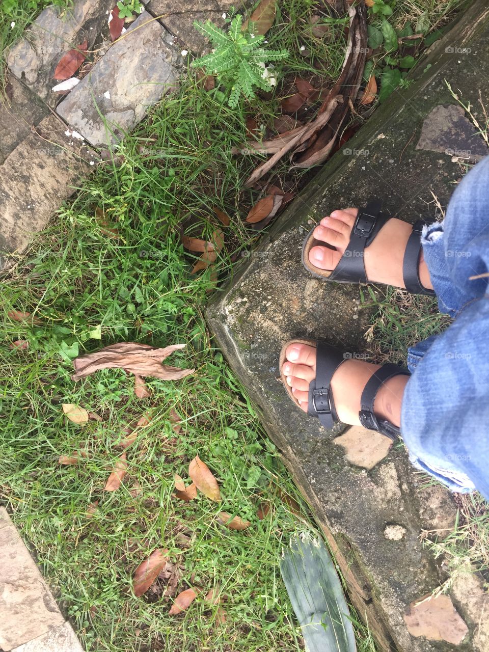 Standing on the garden