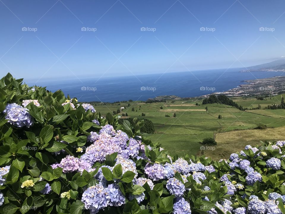 Azores 