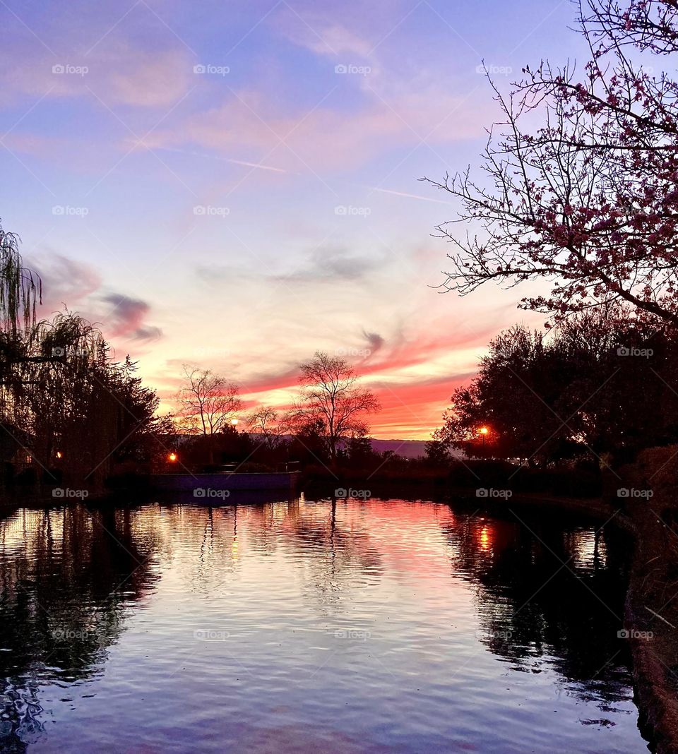 Evening sky at the pond 