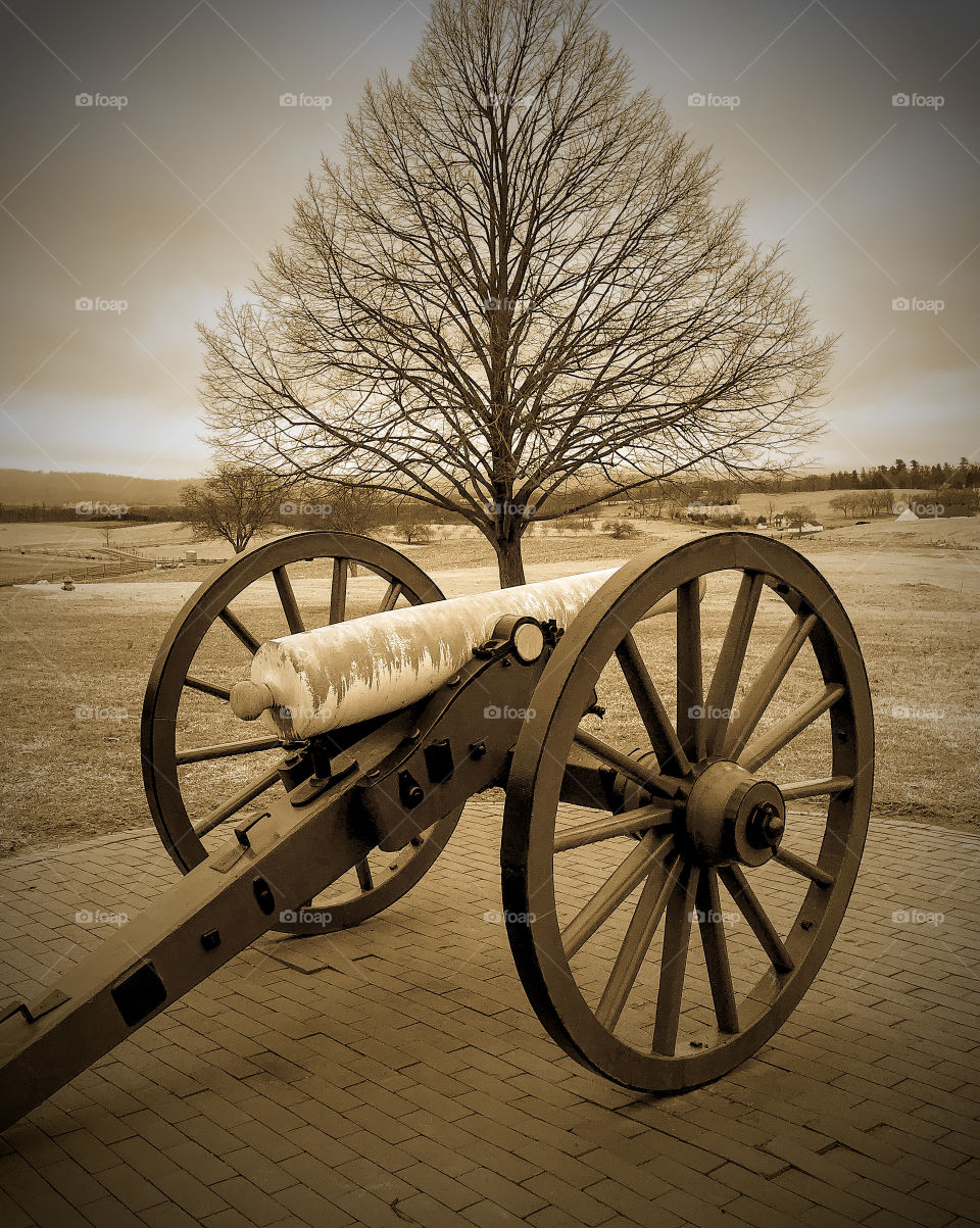 Civil war cannon 