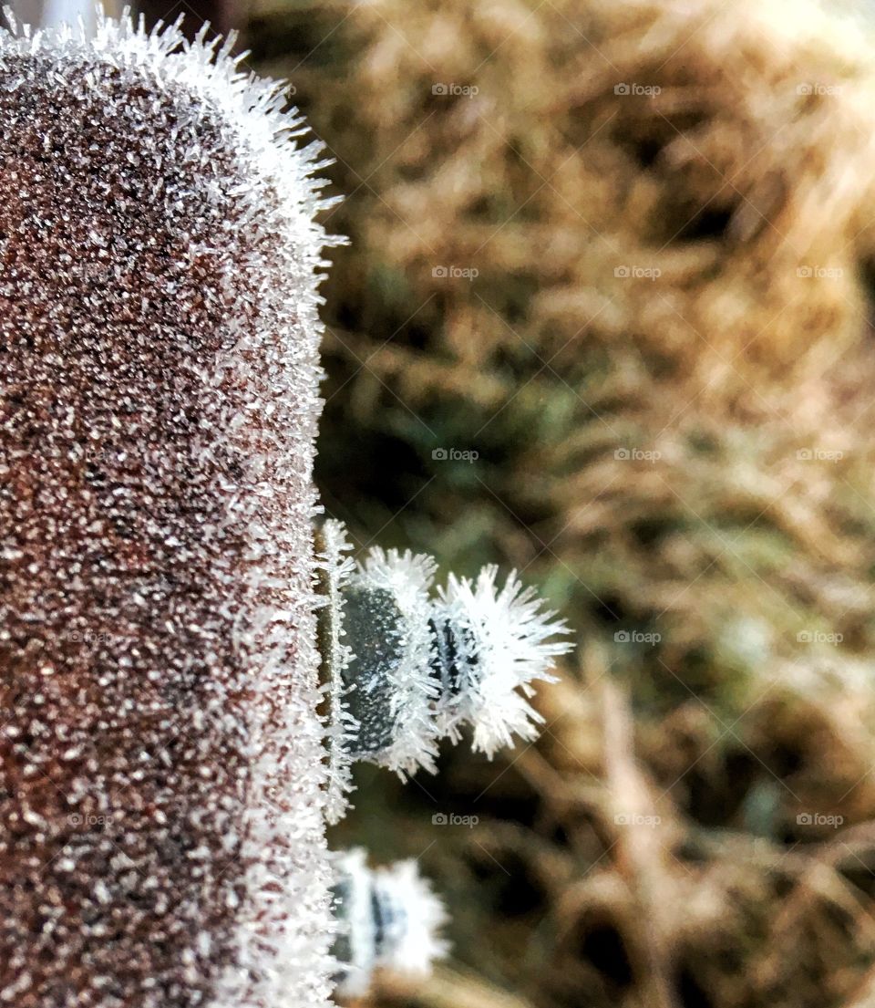 The frost crystals on the bridge hardware