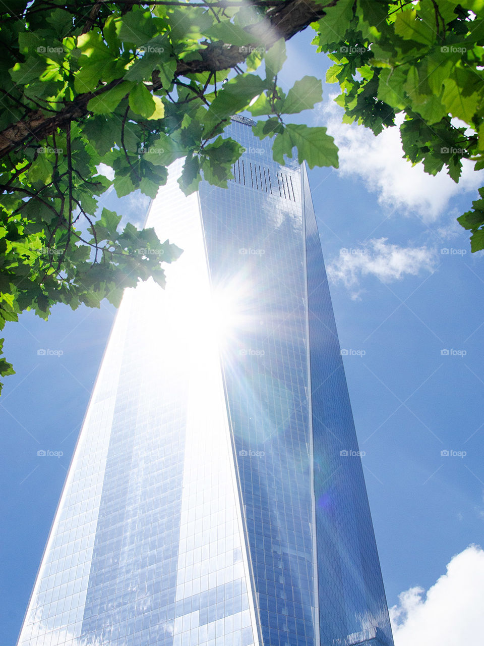 Sunny day in NYC