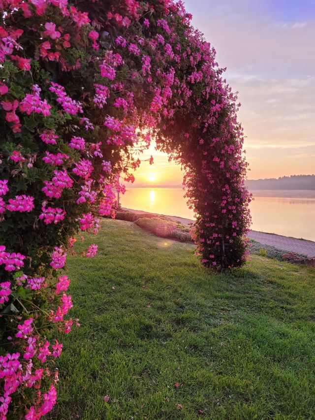 nature