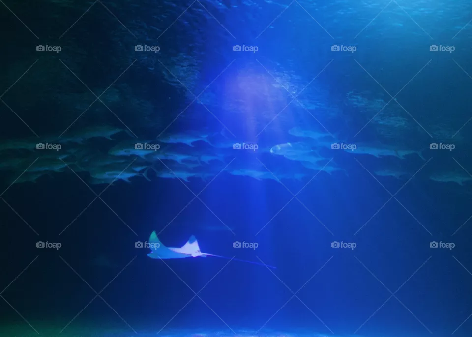 Watching through the blue