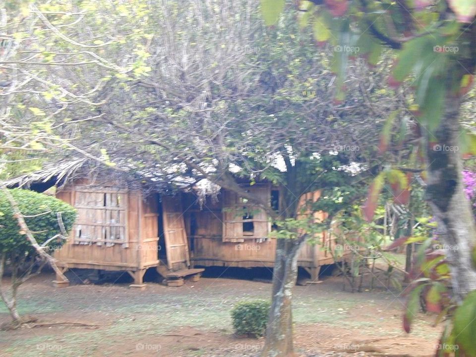 Shacks in Kauai